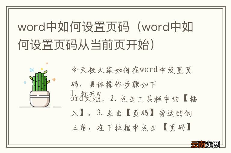 word中如何设置页码从当前页开始 word中如何设置页码