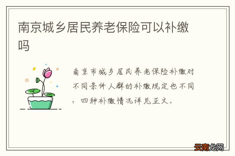 南京城乡居民养老保险可以补缴吗