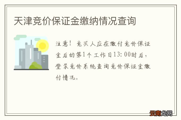 天津竞价保证金缴纳情况查询