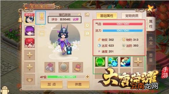 大唐荣耀手游怎么判断宠物好坏 三步判断宝宝好坏技巧