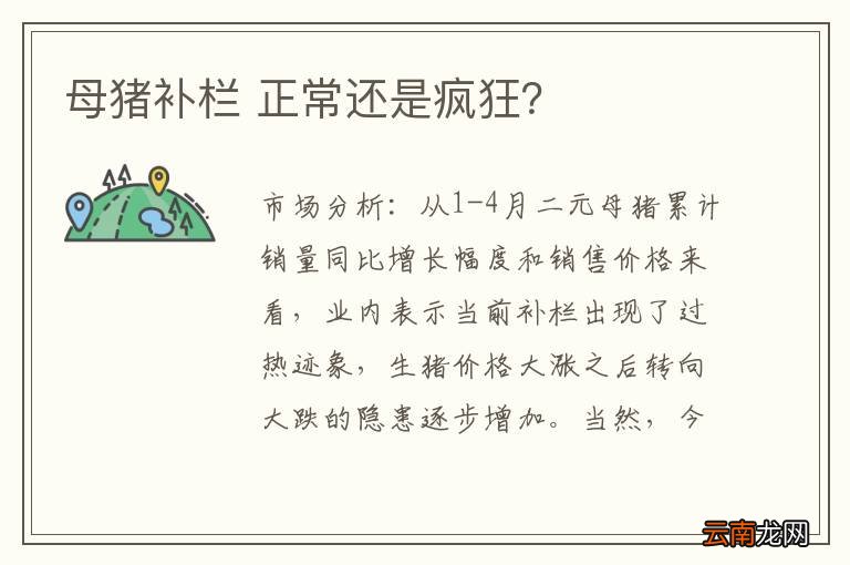 母猪补栏 正常还是疯狂?