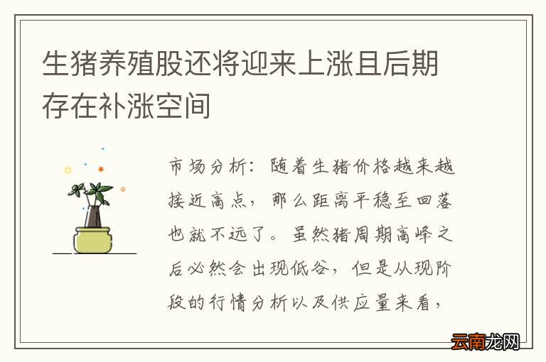生猪养殖股还将迎来上涨且后期存在补涨空间