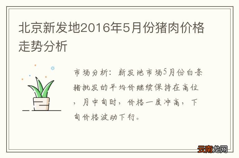 北京新发地2016年5月份猪肉价格走势分析