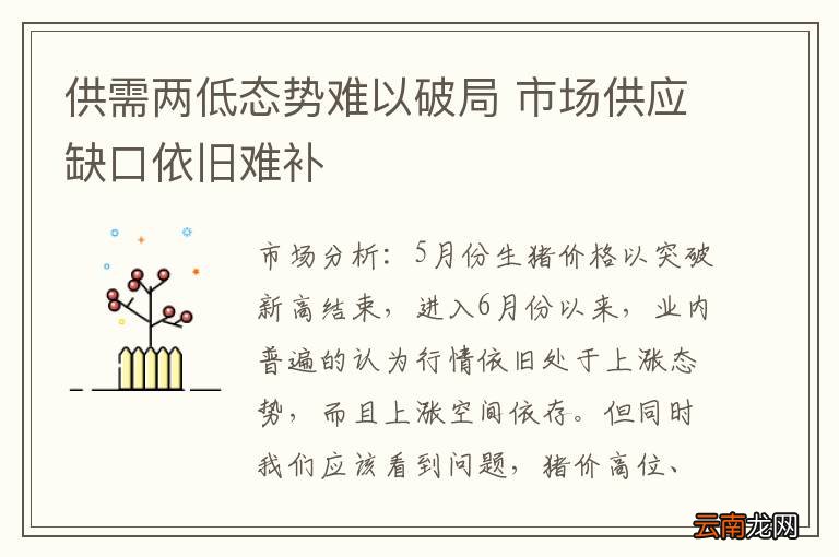 供需两低态势难以破局 市场供应缺口依旧难补