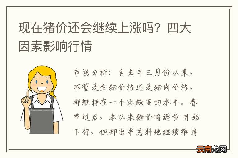 现在猪价还会继续上涨吗？四大因素影响行情