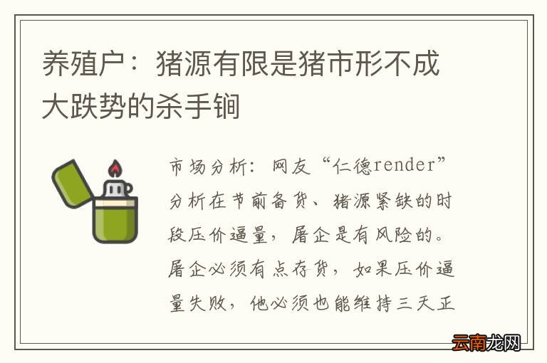 养殖户：猪源有限是猪市形不成大跌势的杀手锏
