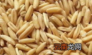 燕麦米哪个产地好 什么地方出产的燕麦米最好