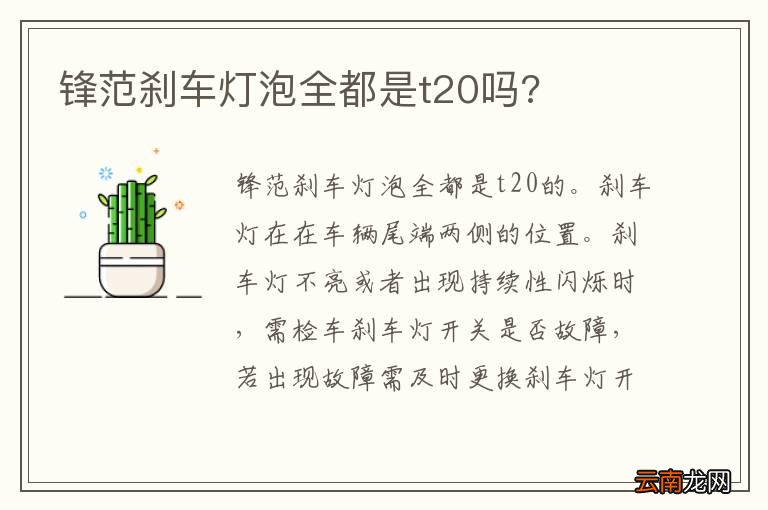 锋范刹车灯泡全都是t20吗?
