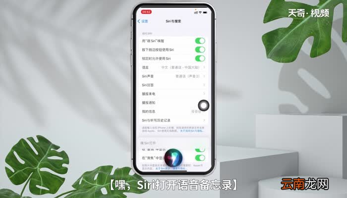 苹果手机录音功能在哪里找 苹果手机录音在哪里面找