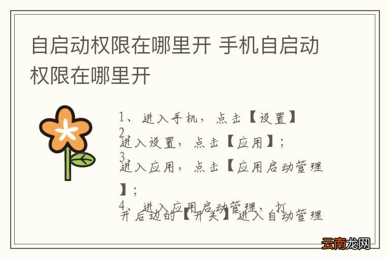 自启动权限在哪里开 手机自启动权限在哪里开
