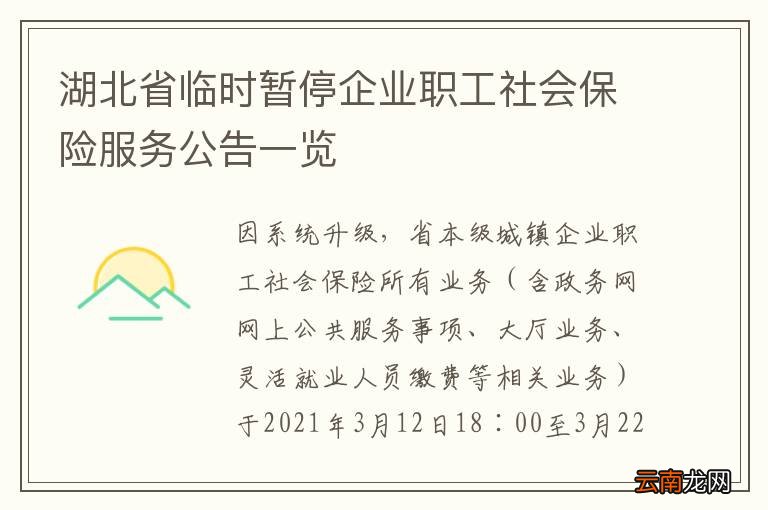 湖北省临时暂停企业职工社会保险服务公告一览