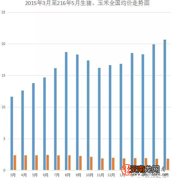 多因素致猪价回落 下半年百姓拎“菜篮子”将变轻松