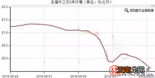 多因素致猪价回落 下半年百姓拎“菜篮子”将变轻松