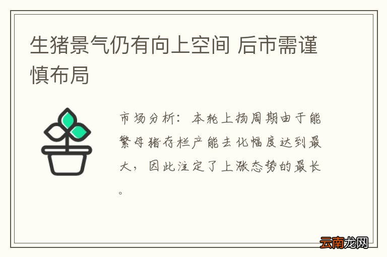 生猪景气仍有向上空间 后市需谨慎布局