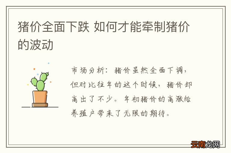 猪价全面下跌 如何才能牵制猪价的波动