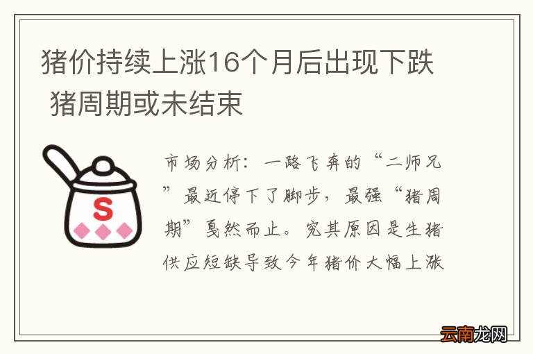 猪价持续上涨16个月后出现下跌 猪周期或未结束