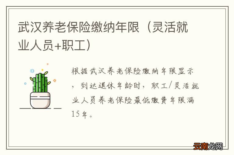 灵活就业人员+职工 武汉养老保险缴纳年限