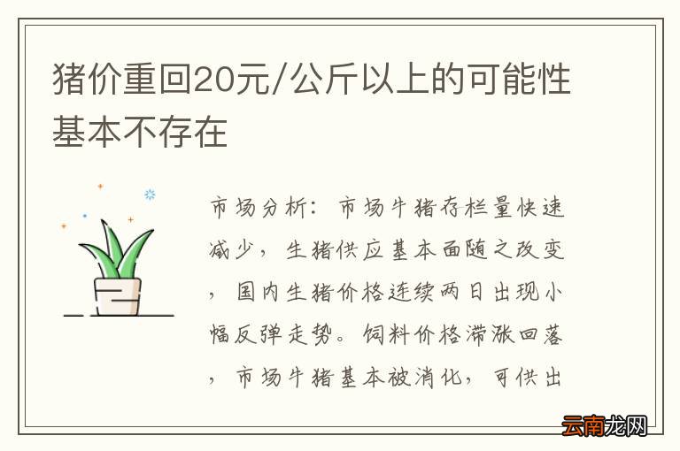 猪价重回20元/公斤以上的可能性基本不存在