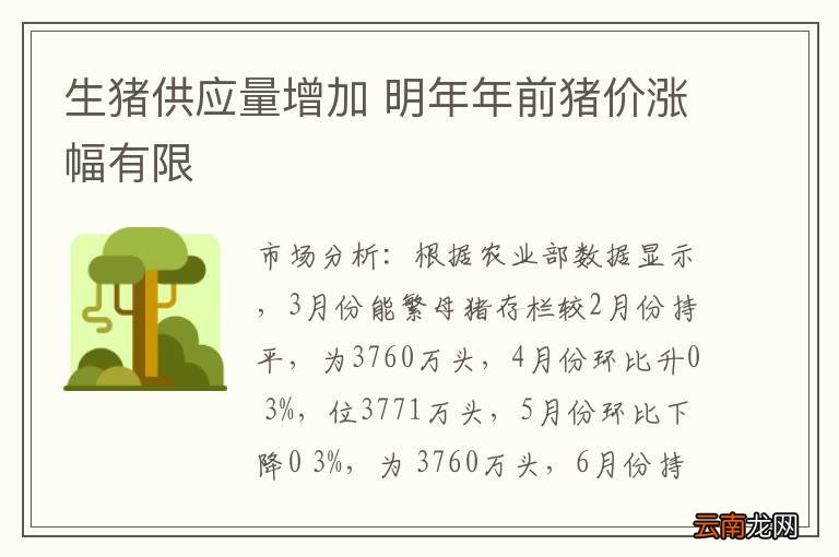 生猪供应量增加 明年年前猪价涨幅有限