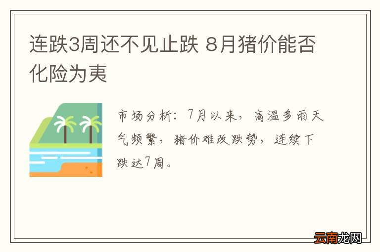 连跌3周还不见止跌 8月猪价能否化险为夷