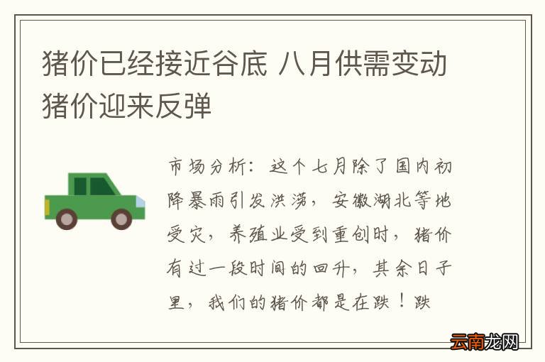 猪价已经接近谷底 八月供需变动猪价迎来反弹