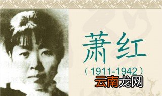 萧红简介 萧红个人资料