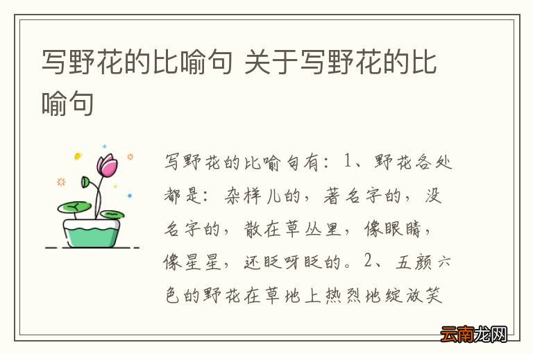 写野花的比喻句 关于写野花的比喻句