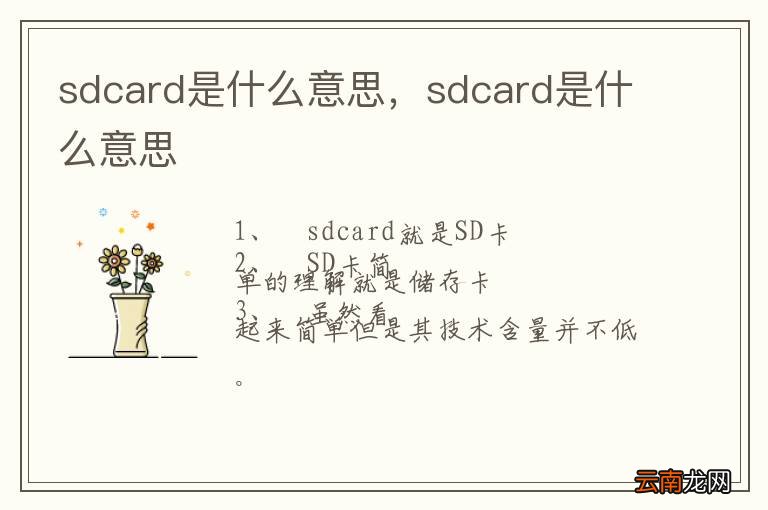 sdcard是什么意思，sdcard是什么意思