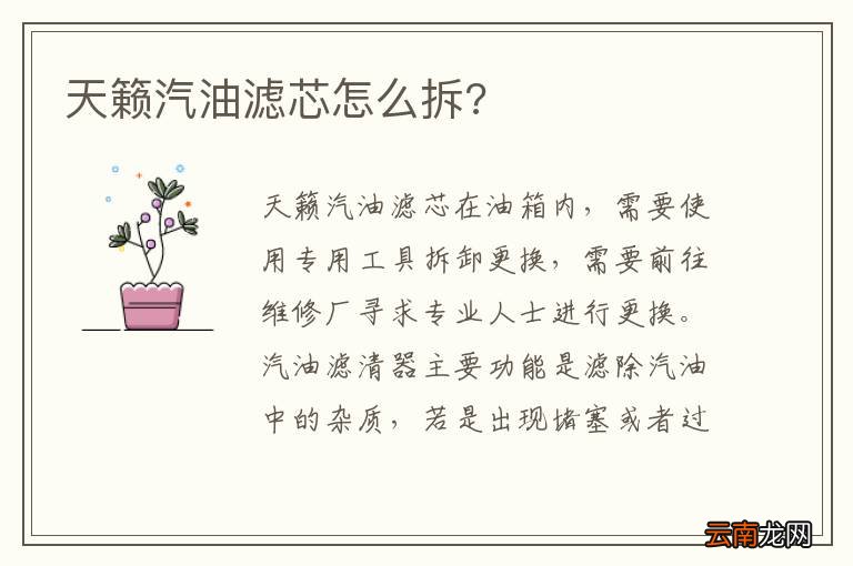 天籁汽油滤芯怎么拆?