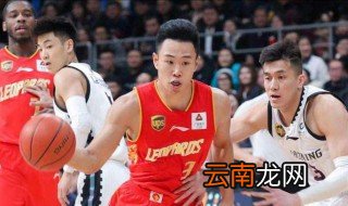 篮球沈梓捷简历 沈梓捷是谁