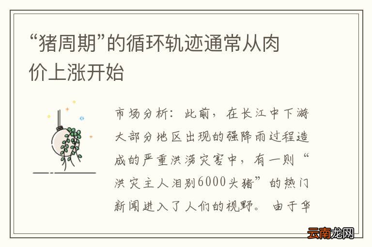 “猪周期”的循环轨迹通常从肉价上涨开始