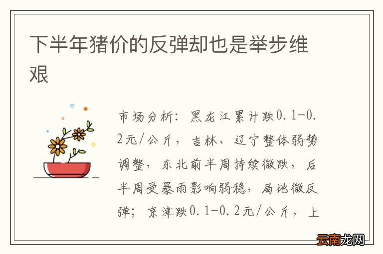 下半年猪价的反弹却也是举步维艰