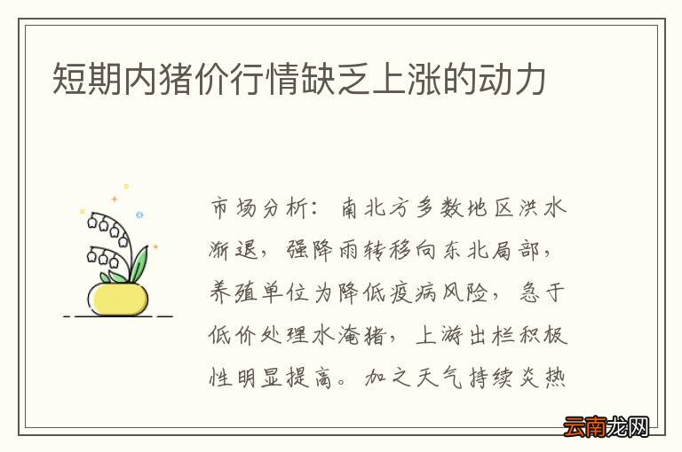 短期内猪价行情缺乏上涨的动力