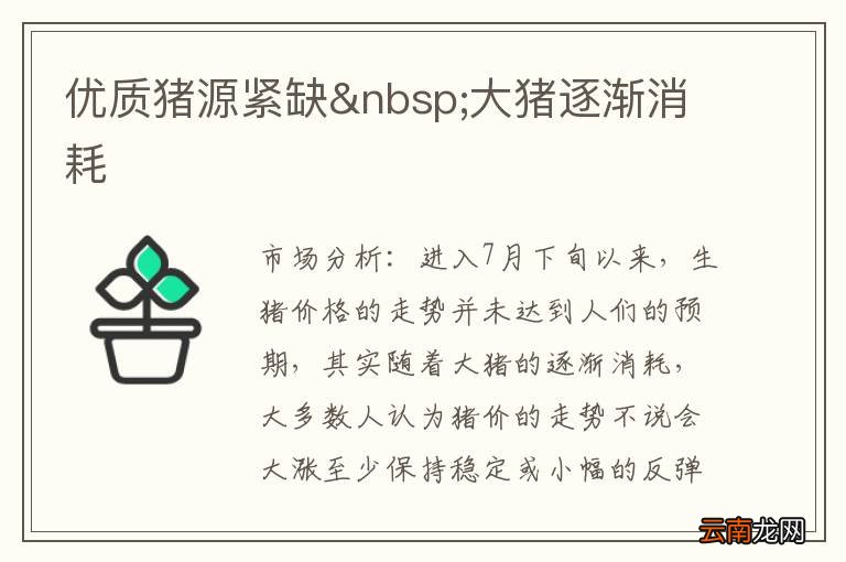 优质猪源紧缺 大猪逐渐消耗