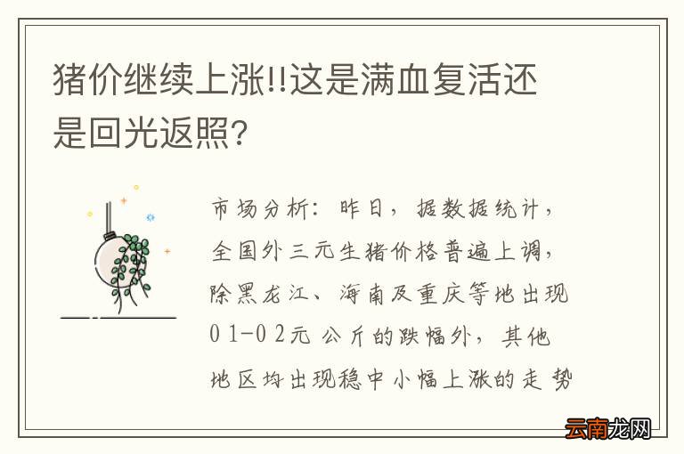 猪价继续上涨!!这是满血复活还是回光返照?