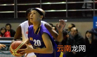 石川幸子简介 石川幸子的简介
