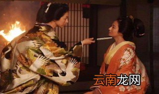 大奥简介 电视剧大奥的介绍