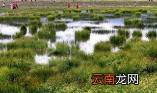 松潘草地简介 松潘草地的介绍