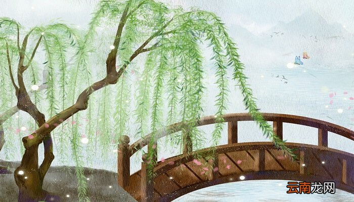 春天柳树的描写优美句子 描写春天柳树的优美句子有哪些