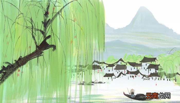 春天柳树的描写优美句子 描写春天柳树的优美句子有哪些