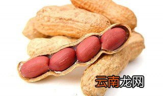 重茬花生用什么化肥 简单给大家介绍