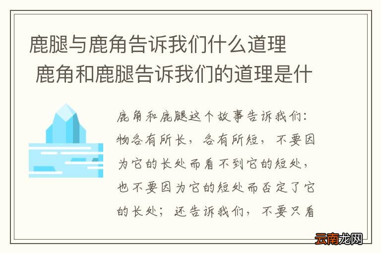 鹿腿与鹿角告诉我们什么道理鹿角和鹿腿告诉我们的道理是什