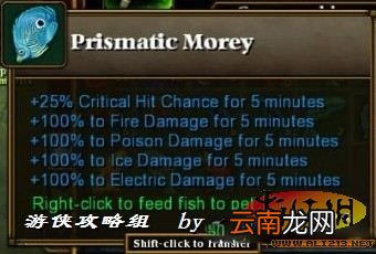 《火炬之光2》宠物卖萌变装一览及特殊鱼类