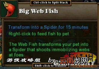 《火炬之光2》宠物卖萌变装一览及特殊鱼类