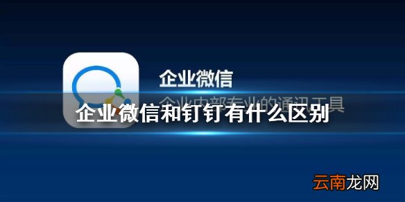 企业微信和钉钉有什么区别 企业微信和钉钉的区别介绍