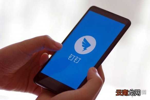 企业微信和钉钉有什么区别 企业微信和钉钉的区别介绍