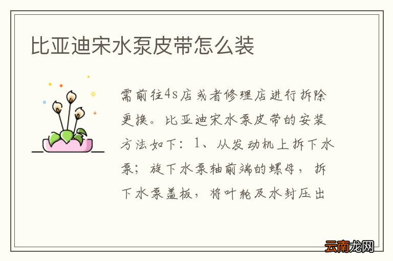 比亚迪宋水泵皮带怎么装