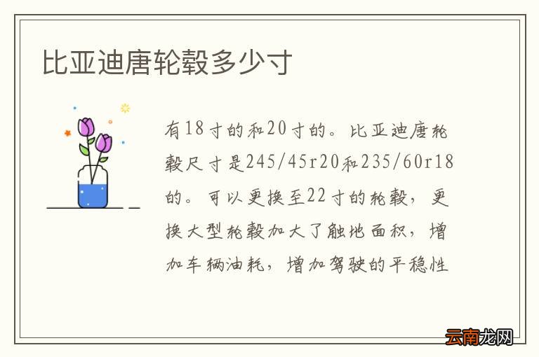 比亚迪唐轮毂多少寸