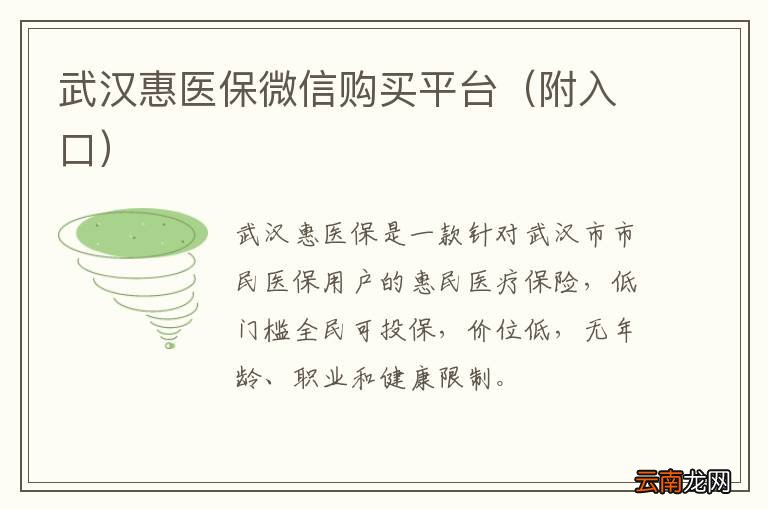 附入口 武汉惠医保微信购买平台