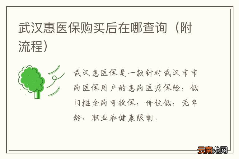 附流程 武汉惠医保购买后在哪查询